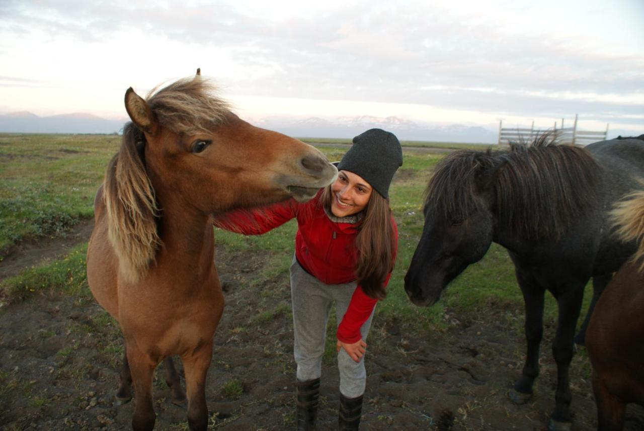 Husey Hostel & Horsefarm Эгильсстадир Экстерьер фото