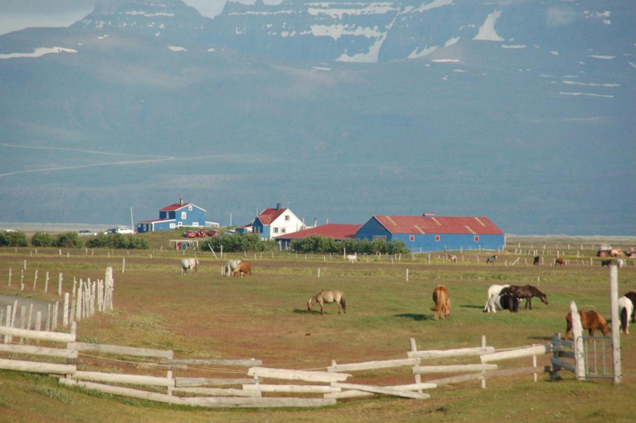 Husey Hostel & Horsefarm Эгильсстадир Экстерьер фото