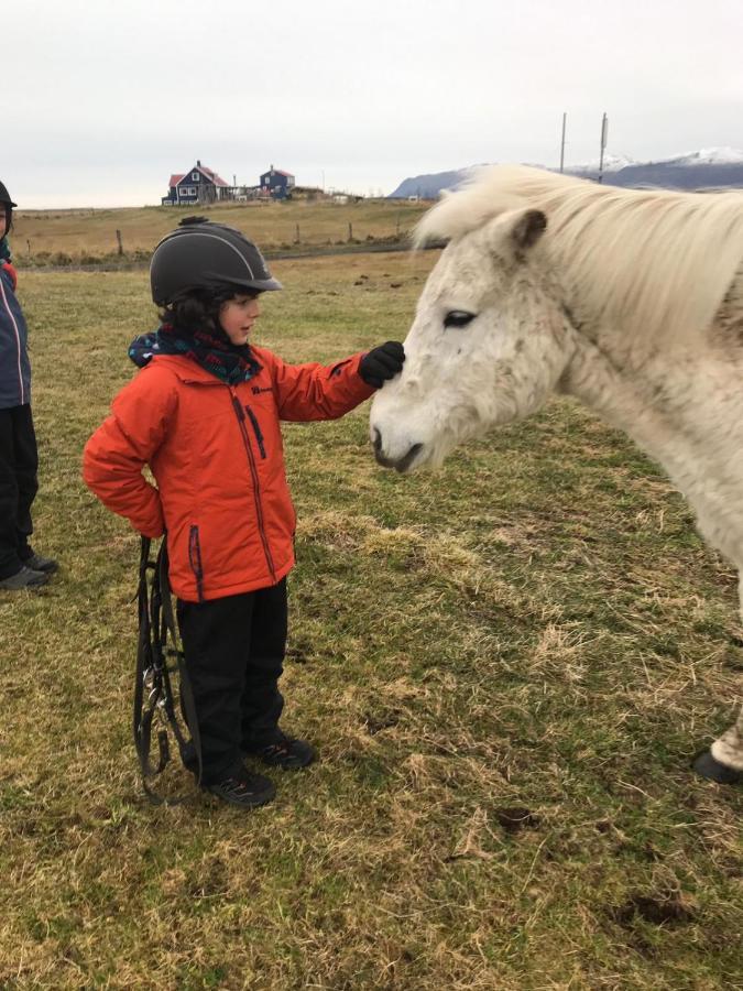 Husey Hostel & Horsefarm Эгильсстадир Экстерьер фото