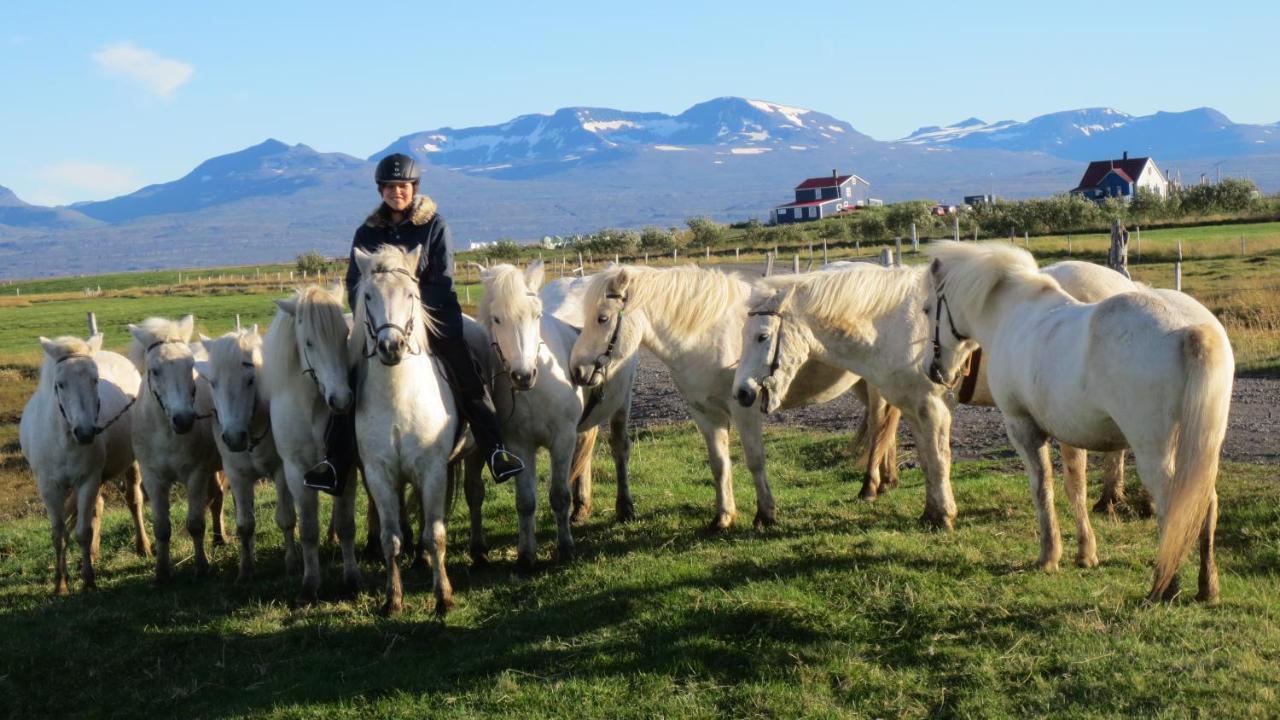 Husey Hostel & Horsefarm Эгильсстадир Экстерьер фото